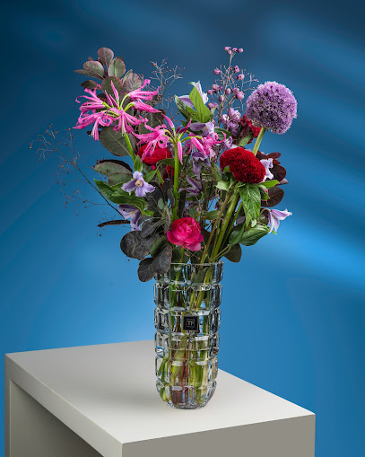 Tulip Flowers - Zawaya Walk - United Arab Emirates|Al Shahba - Sharjah|Shop# 10 - Zawaya Walk