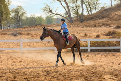 Horse center UAE - Dubai -