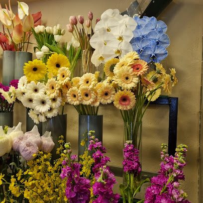 Misk flowers مسك لتجارة الزهور - Ajman - +971 54 777 8200