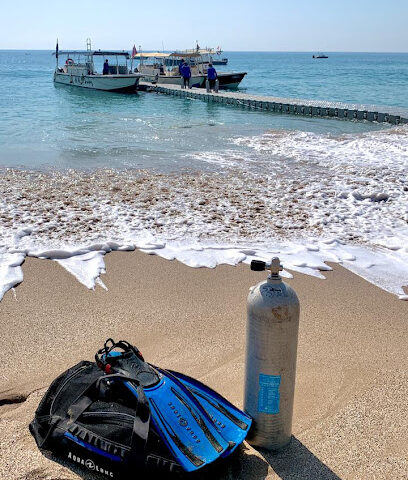 Al Boom Diving Al Aqah - Abu Dhabi - +971 9 204 4925