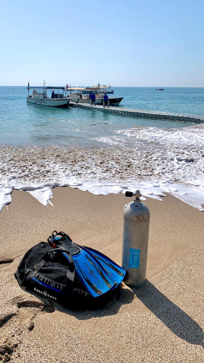 Al Boom Diving Al Aqah - United Arab Emirates|Al ʻiqqah - Fujairah