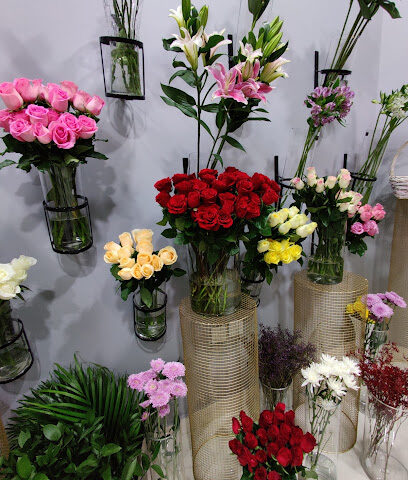 Rukn flowers - Ajman - +971 55 686 8938