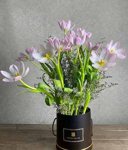 Stems N Pots - Ajman - +971 50 844 5658