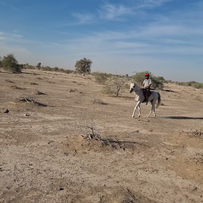 Marwan farm,hamraniyah - Ajman - +971 50 888 7085