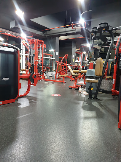 Super Las Vegas Gym - United Arab Emirates|Al Danah - Zone 1 - Abu Dhabi|Hamdan Bin Mohammed St|F9P5+CG6