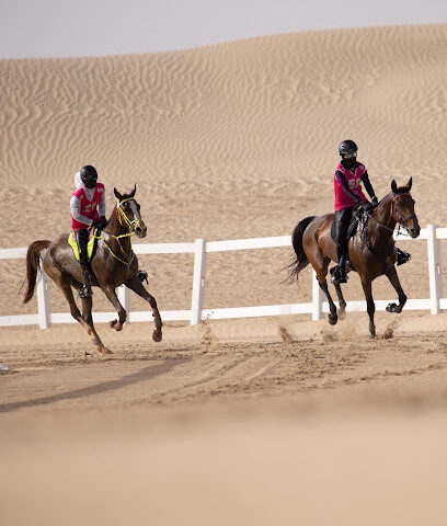 Emirates International Endurance Village - Dubai - +971 2 583 9958