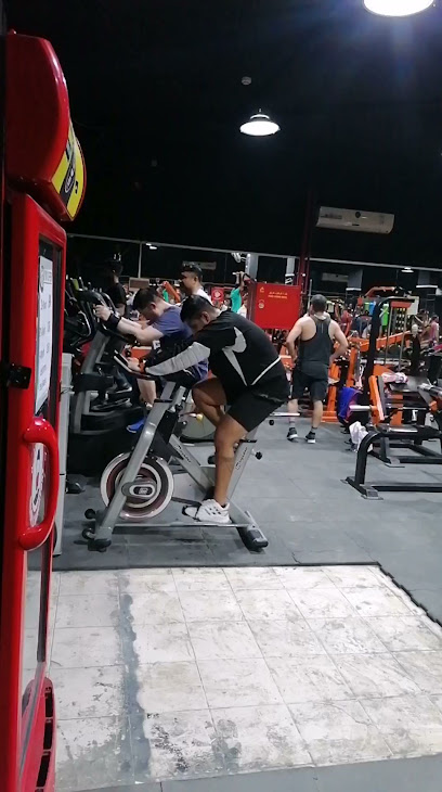 Deenar Fitness Gym - United Arab Emirates|Al Jerf Industrial 3 - Ajman|jurf 3