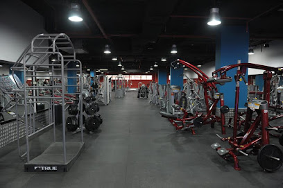 Power Gym - Dubai - +971 56 663 1355