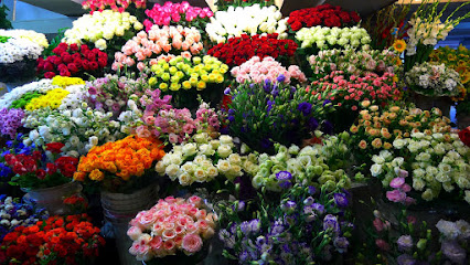 Buy Any Flowers Dubai - Flowers, Plants, Gifts & Cake Shop - Ajman - +971 50 742 7217
