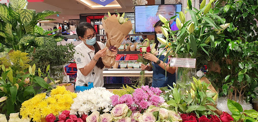 Bloombox - Ajman -