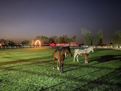 Horse to Soul (previously Ride To Rescue) - Dubai - +971 56 590 0290