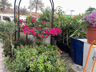 City Spring Landscaping - Dubai - +971 50 788 3167
