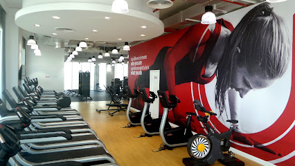 Fitness 360 Ras Al-Khaimah - Dubai - +971 7 226 7363