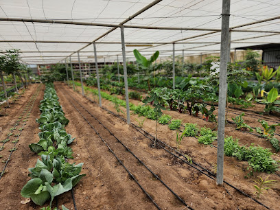 Mazaara Farm Shop - Ajman - +971 50 999 0347