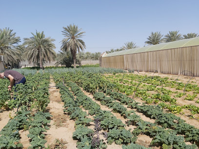 AlRahba Organic Farm Abu Dhabi - Ajman - +971 2 641 6500