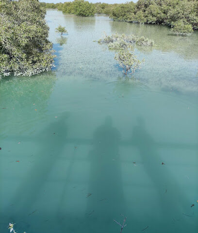 Sadiyat mangrove farm - Ajman -