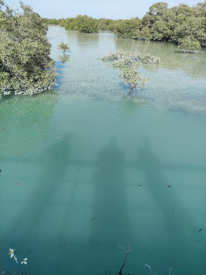 Sadiyat mangrove farm - United Arab Emirates|Al Saadiyat Island - Abu Dhabi|Unnamed Road|GF4F+Q5G