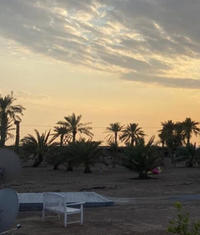 مزرعة سلطان ابراهيم الحساوي - Ajman -