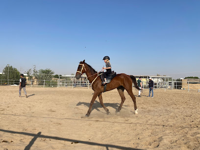 Dream stable - Dubai - +971 50 885 8516