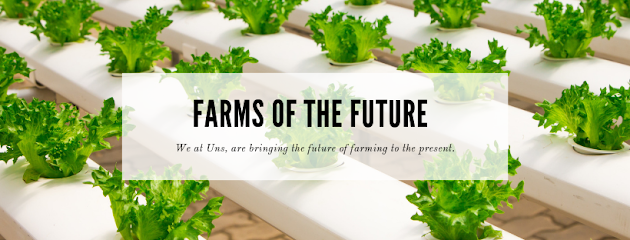 Uns Farms - Ajman - +971 52 445 5066