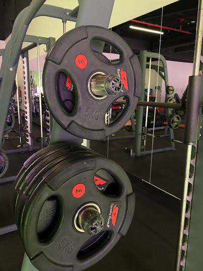 Fitness Society Ladies - United Arab Emirates|Al Jerf Industrial 1 - Ajman|CGFG+QW