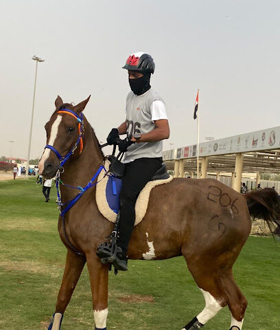Arabian Star Stables - Dubai - +971 56 262 4122