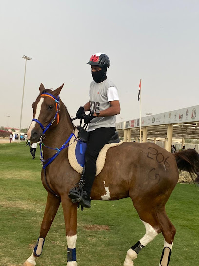 Arabian Star Stables - United Arab Emirates|Dubai|Emirates Rd