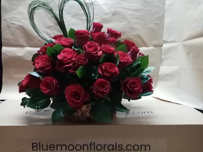MaxFlorals - Ajman - +971 56 800 9831