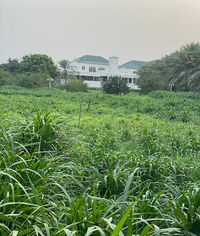 Farm Alrais - Ajman -