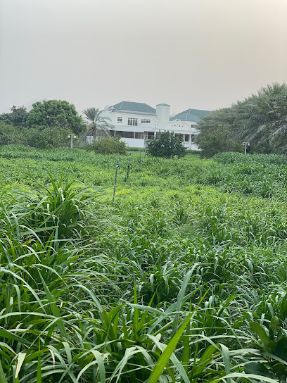 Farm Alrais - United Arab Emirates|Al Raheeb - Fujairah|G8GR+2RQ