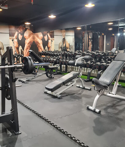 Lion gym - Dubai - +971 52 835 1029