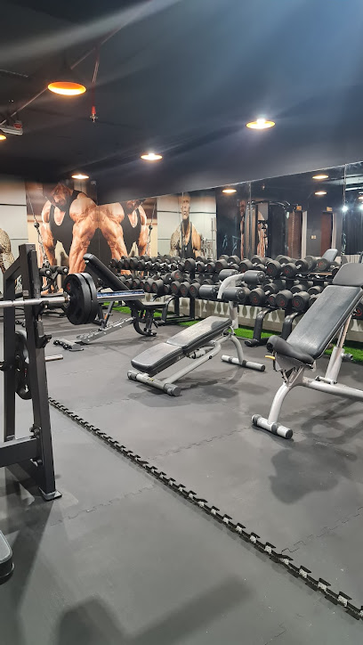 Lion gym - United Arab Emirates|Al Muwaihat 3 - Ajman|9F8R+FWC