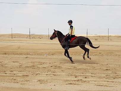 Nafar Stables - Dubai - +971 55 949 1458