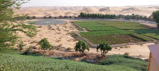 Al Jaber Farm (Liwa) - Ajman -