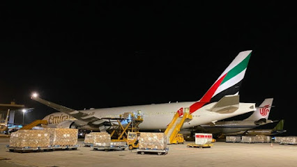 Home Land Air Cargo Services L.L.C - Ajman - +971 56 937 3358