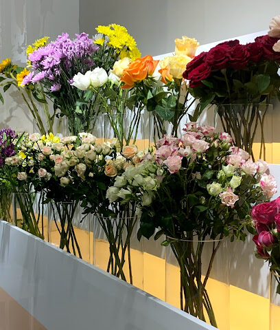 حقول الورد | Flower Fields - Ajman - +971 54 535 3856