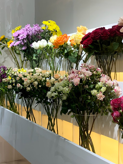 حقول الورد | Flower Fields - United Arab Emirates|Sharjah|Sharjah-Kalba Rd
