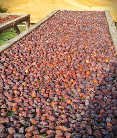 Abdulla Binhareb Farm - Ajman -