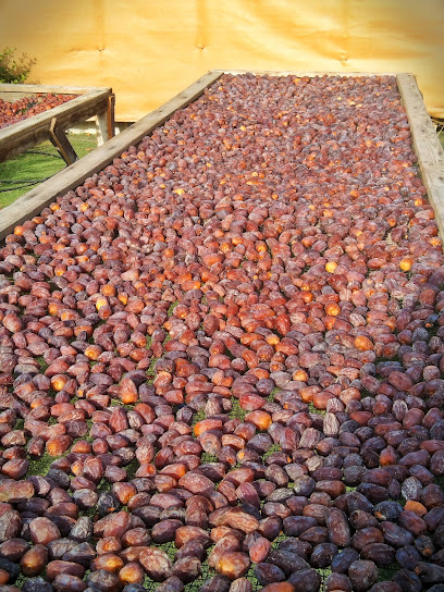 Abdulla Binhareb Farm - United Arab Emirates|Hay Aldubdabaah South - Sharjah|9JG8+9Q3