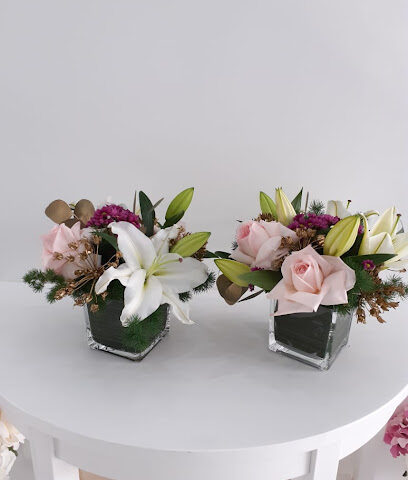 Kingdom Of Flowers مملكة الزهور - Ajman - +971 56 666 6440