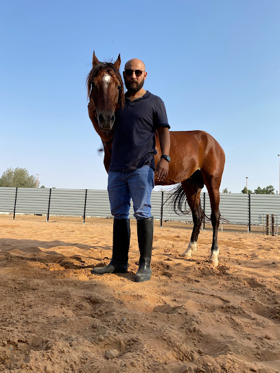 AL MUHANDES STABEL - United Arab Emirates|AL ZUBAIR AREA - Sharjah