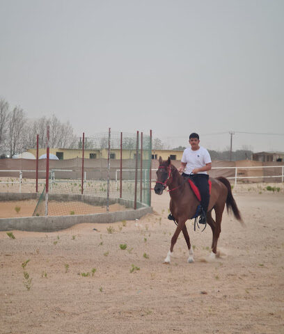 اسطبل الدقداقه - Dubai - +971 50 137 4004