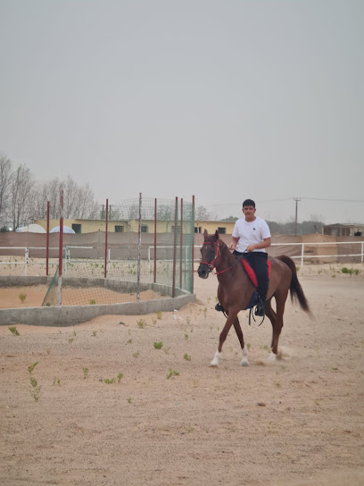 اسطبل الدقداقه - United Arab Emirates|Al Wathbah - Abu Dhabi|Unnamed Road|Wathba South