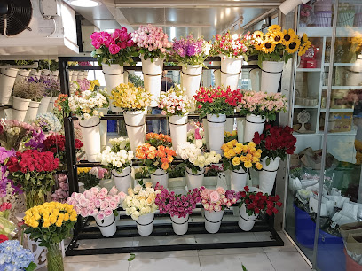 May Flower - Ajman - +971 6 572 6588