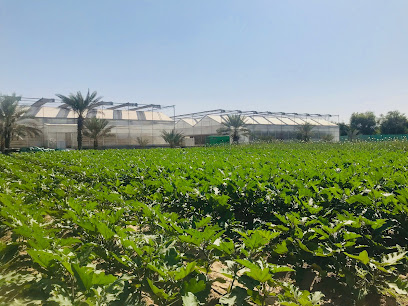 Aranya Farms - Ajman - +971 55 425 9588