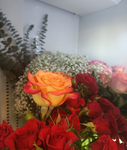 Flowers and more - Ajman - +971 58 613 0836
