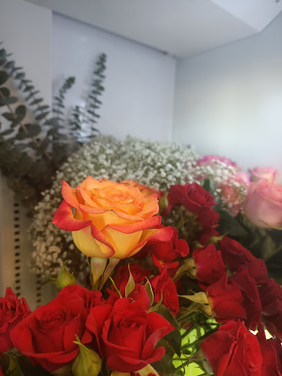 Flowers and more - United Arab Emirates|Al Salmah - Al Salamah - Umm Al Quawain