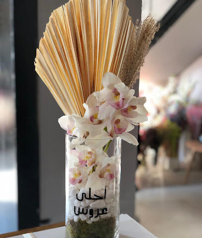 شذى الكادي - Ajman - +971 55 650 0084