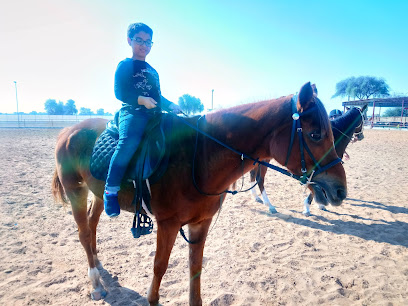 Julphar Stud ( Arbian Horse ) مربط جلفار - Ajman - +971 50 626 2955