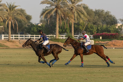 Dubai Polo & Equestrian Club - Ajman - +971 4 361 8111